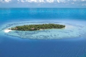 Zanzibar: Prison Island Half-Day Tour with Snorkeling