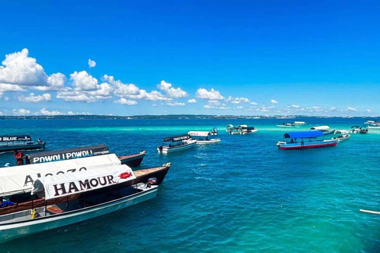 Zanzibar : visite d'une demi-journée de l'île-prison