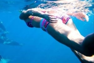 Zanzibar: Halvdagsutflykt till fängelseön