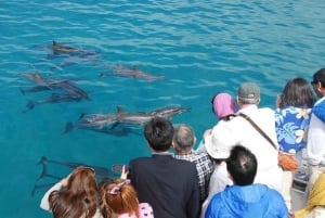 Zanzibar: Halvdagsutflykt till fängelseön