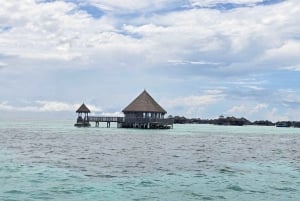 Zanzibar: Halvdagsutflykt till fängelseön