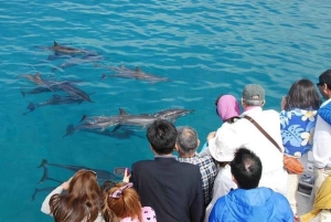 Zanzibar: Halvdagsutflykt till fängelseön