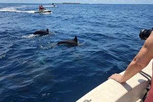 Zanzibar: Halvdagsutflykt till fängelseön