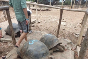 Zanzibar : visite d'une demi-journée de l'île-prison