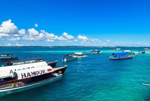 Zanzibar : visite d'une demi-journée de l'île-prison