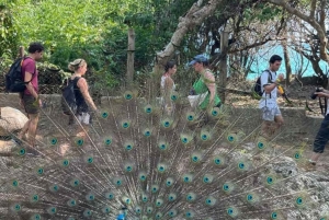 Zanzibar : visite d'une demi-journée de l'île-prison