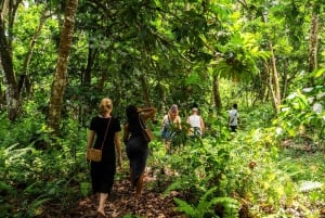 Zanzibar: Prison Island & Jozani Forest Guided Tour