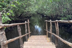 Sansibar: Gefängnisinsel, Jozani-Wald und Mtende-Strand-Tour