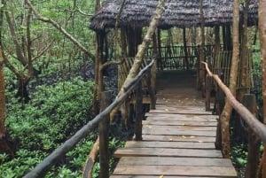 Sansibar: Gefängnisinsel, Jozani-Wald und Mtende-Strand-Tour
