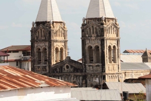 ザンジバル：刑務所島、ジョザニの森、サラーム洞窟への旅行をお楽しみください