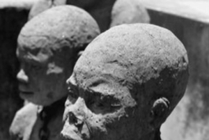 ザンジバル：刑務所島、ジョザニの森、サラーム洞窟への旅行をお楽しみください