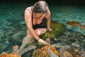 ザンジバル：刑務所島、ジョザニの森、サラーム洞窟への旅行をお楽しみください