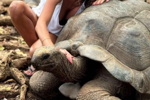 ザンジバル：刑務所島、ジョザニの森、サラーム洞窟への旅行をお楽しみください