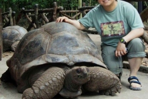 ザンジバル：刑務所島、ジョザニの森、サラーム洞窟への旅行をお楽しみください