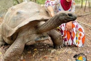 Zanzibar: Prison Island, Jozani Forest & Salaam Cave Turtles