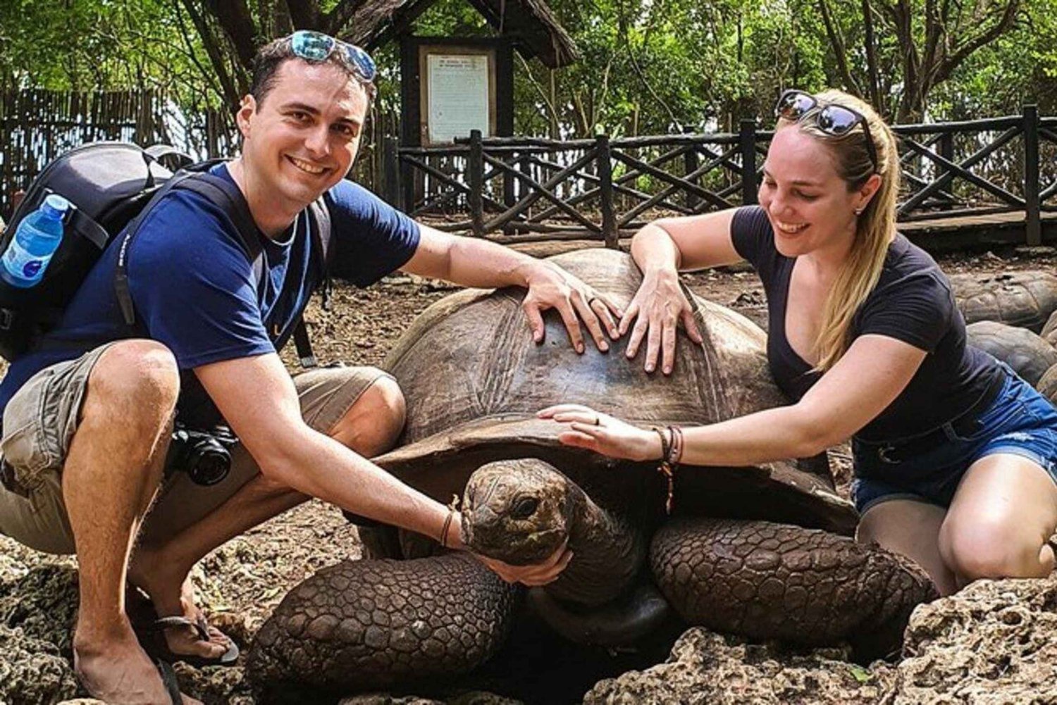 ZANZIBAR: Fengselsøya, Jozani-skogen og havskilpaddereservat