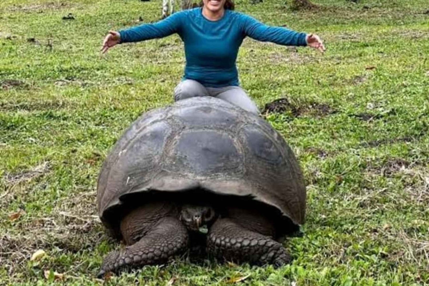 ЗАНЗИБАР: Остров-тюрьма, лес Джозани и заповедник морских черепах