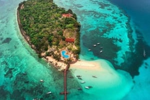 ZANZIBAR: Fengselsøya, Jozani-skogen og havskilpaddereservat