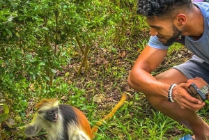 ZANZIBAR: Fengselsøya, Jozani-skogen og havskilpaddereservat