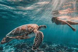 ЗАНЗИБАР: Остров-тюрьма, лес Джозани и заповедник морских черепах