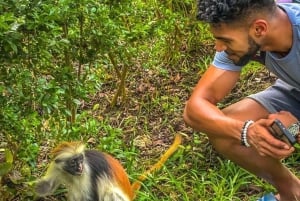 Zanzibarin vankilasaari, Jozani-metsä ja mausteviljelmät