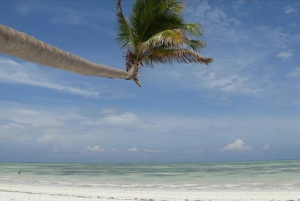 Zanzibar: Wyspa Więzienna, las Jozani, skała The Rock i plaża Paje