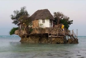Zanzibar: Wyspa Więzienna, las Jozani, skała The Rock i plaża Paje