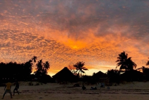 Zanzibar: Wyspa Więzienna, las Jozani, skała The Rock i plaża Paje