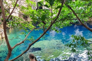 ZANZIBAR: Wyspa Więzienna, pływanie w tajemniczej jaskini i las Jozani