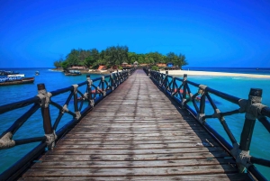 ZANZIBAR: Wyspa Więzienna, pływanie w tajemniczej jaskini i las Jozani