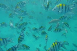 Zanzibar: Ilha Prisão, Nakupenda e Tour pela Fazenda de Especiarias