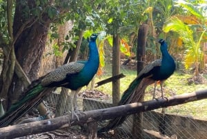 Zanzibar: Ilha Prisão, Nakupenda e Tour pela Fazenda de Especiarias