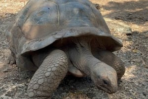 Zanzibar: Ilha Prisão, Nakupenda e Tour pela Fazenda de Especiarias