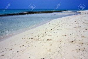 Zanzibar: Prison Island & Nakupenda beach private with Lunch