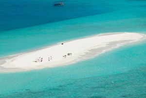 Zanzibar: Prison Island & Nakupenda beach private with Lunch