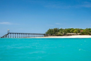 Zanzibar: Prison Island & Nakupenda beach private with Lunch