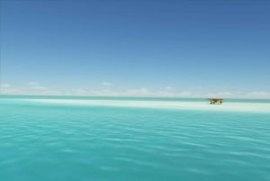 Zanzibar: Prison Island e spiaggia di Nakupenda privata con pranzo