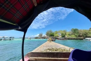 Zanzibar: Prison Island e spiaggia di Nakupenda privata con pranzo