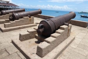 Zanzibar: Prison Island e spiaggia di Nakupenda privata con pranzo