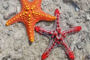 Zanzibar: Fengselsøya, Nakupenda Beach og Stone Town-tur