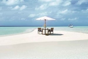 Zanzibar: Tur til Prison Island og Nakupenda Sandbank med lunsj