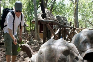 Sansibar: Gefängnisinsel, Nakupenda-Sandbank & Schwimmen mit Salam-Schildkröten