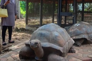 Sansibar: Gefängnisinsel, Nakupenda-Sandbank & Schwimmen mit Salam-Schildkröten