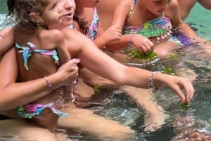 Sansibar: Gefängnisinsel, Nakupenda-Sandbank & Schwimmen mit Salam-Schildkröten