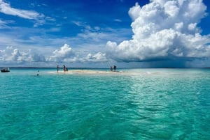 Zanzibar: Prison Island, Stone Town and Jozani National Park