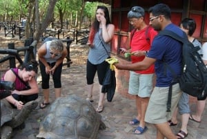 ザンジバル：プリズン島、ナクペンダサンドバンク、ストーンタウンをご案内いたします