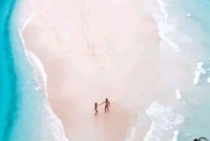 ザンジバル：プリズン島、ナクペンダサンドバンク、ストーンタウンをご案内いたします