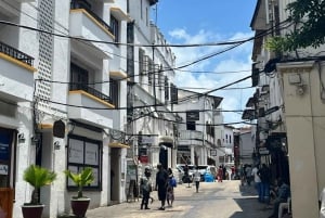 ザンジバル：プリズン島、ナクペンダサンドバンク、ストーンタウンをご案内いたします