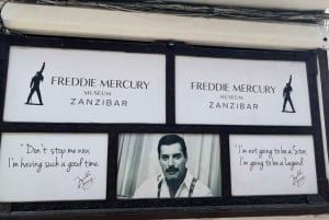 ザンジバル：プリズン島、ナクペンダサンドバンク、ストーンタウンをご案内いたします