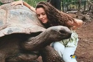 Zanzibar: Prison Island & Nakupenda Sandbank Tour with Lunch